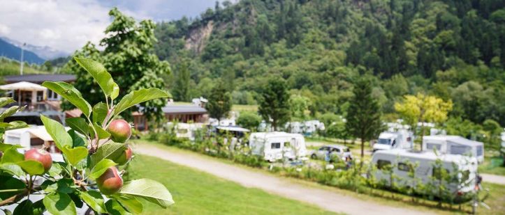csm_camping-passeier-apfel-focus-01_a9d23c64ce
