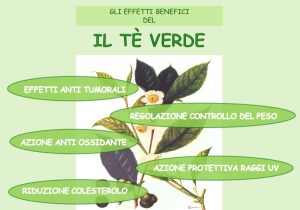 tè-proprietà-salutari