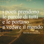 video-territorio-poesia-festival