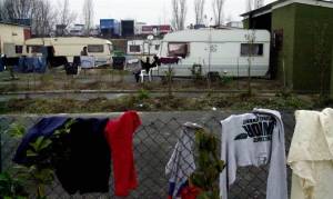 1365059582680_0.jpg--