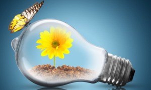 shutterstock_345816833-e1449154332967-700x589